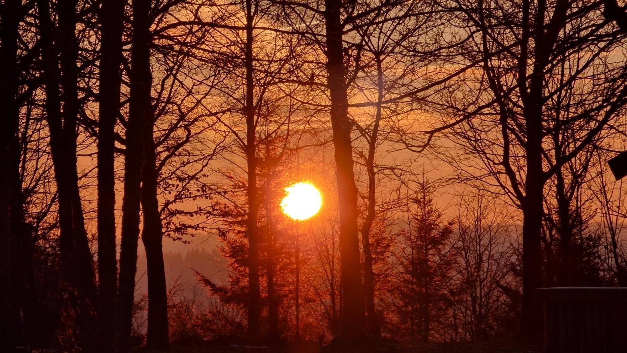 Clubhotels Hochsauerland Winterberg Dış mekan fotoğraf